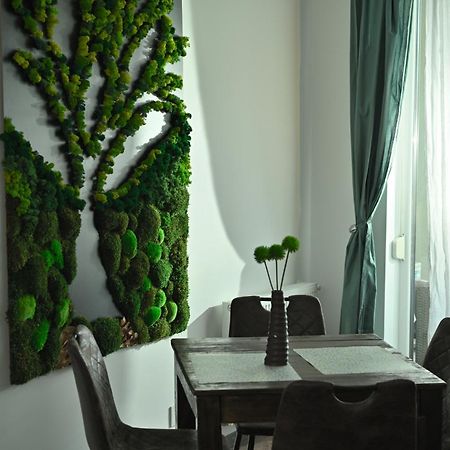 Mirvana Apartments Metheor Executive Suite Тимишоара Экстерьер фото