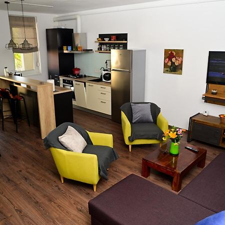 Mirvana Apartments Metheor Executive Suite Тимишоара Экстерьер фото