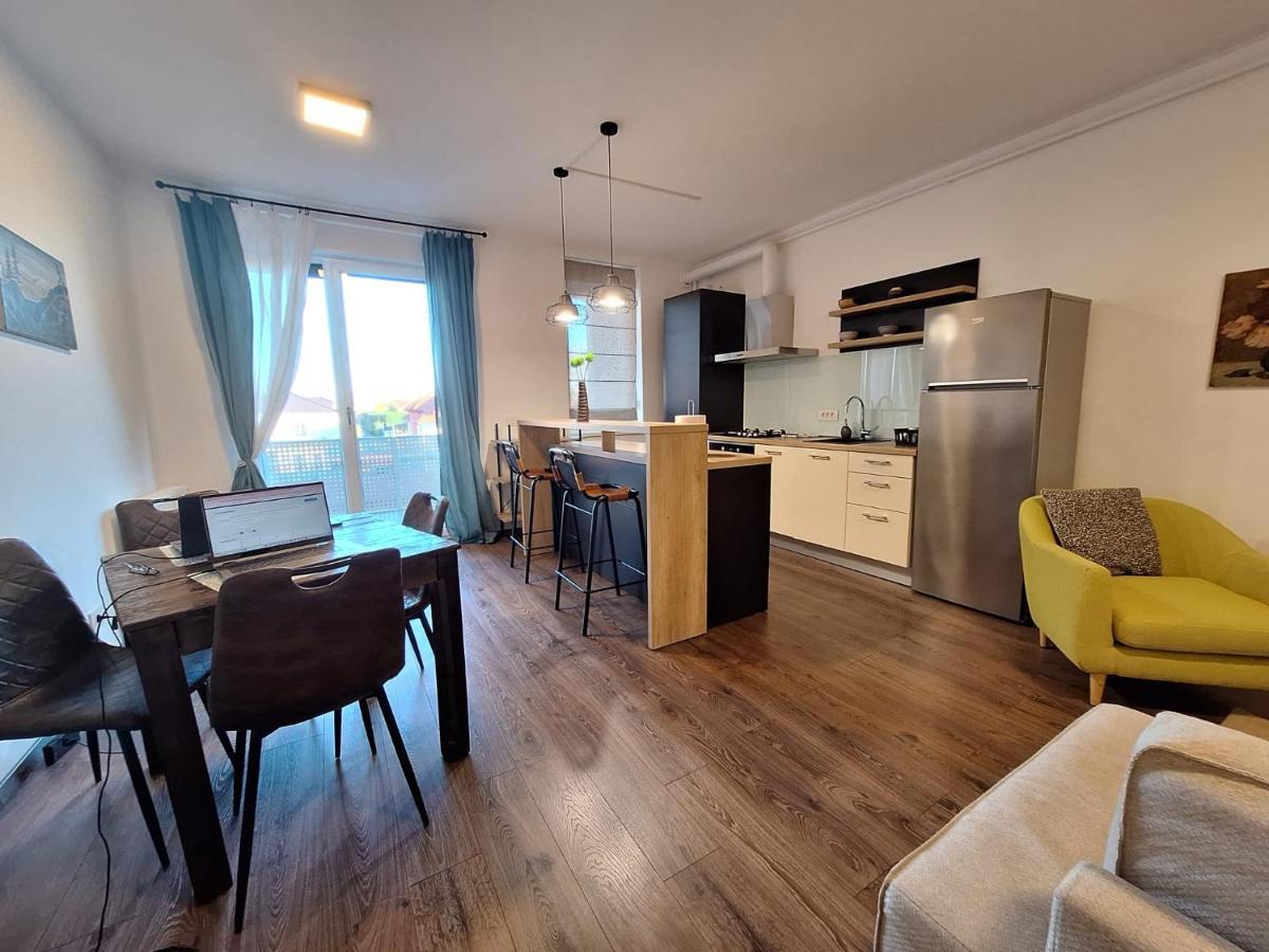 Mirvana Apartments Metheor Executive Suite Тимишоара Экстерьер фото